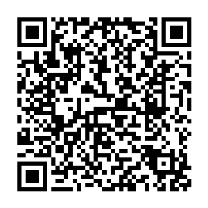 当然了前几天的时候贝海原本养在空间里的那些小变异猪首先遭了秧二维码生成