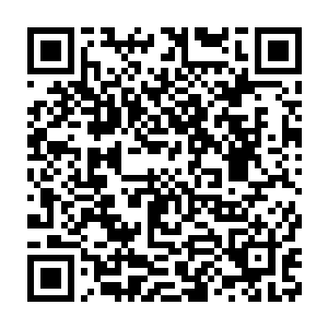 当然了最为珍贵的就是万重峰的一些修炼宝地竟然郁郁葱葱的紫竹林二维码生成