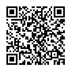 当然了法国方面为什么会允许这样的事情在他们的国土上面发生二维码生成