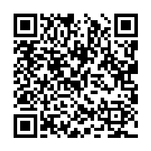 当然了王阳也没有忘记说自己先前的时候送过花了二维码生成