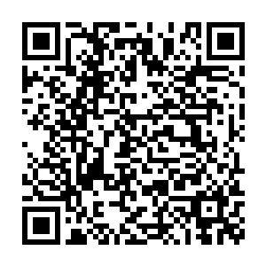 当然了这些水手们纵身跃入海水中的时候是没有贝海想的噗通声的二维码生成