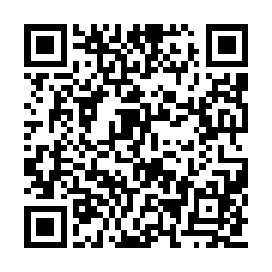 当然他们没有否认杰西卡可能喜欢神之子的事情二维码生成