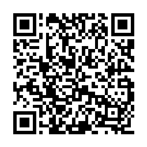 当然他们观察那金发妞居然大大咧咧的上了后排二维码生成