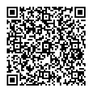 当然他更不会在这个时候告诉谭功明在公司总部的服务器上本就存储着更为简单科学的更改方案二维码生成
