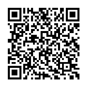 当然会动用所有的关系来打听这到底是怎么回事二维码生成