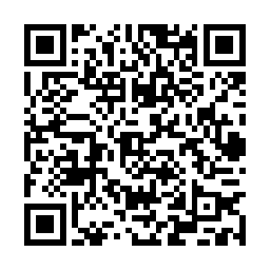 当然会给自己的住所准备点儿逃生通道和藏身之处二维码生成