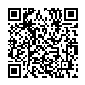 当然再多的资源也比不上他夏云杰体内那棵先天蟠桃树二维码生成