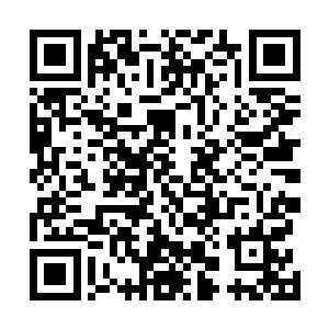 当然凌蘭也在考虑是不是在童军学院周围找一个房子住下二维码生成