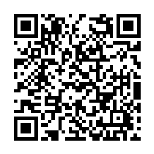 当然切萨雷和约翰尼的老友关系更是早就得到验证二维码生成