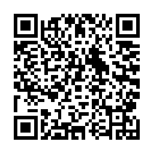 当然在下水之前没忘记让灰团子先侦查一下小湖泊的情况二维码生成