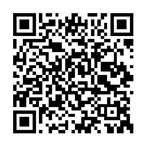 当然在修士的眼里还是分辨出是禁制创造出来的二维码生成