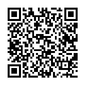 当然在法国这浪漫而美妙的城市不搞些风雨出来的话二维码生成