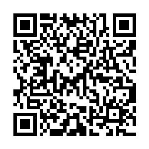 当然她还让李蘭枫用他那种能自然而然获得旁人好感的能力二维码生成