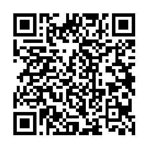 当然如果有别的能力和兴趣的话也可以考虑文官或者别的二维码生成