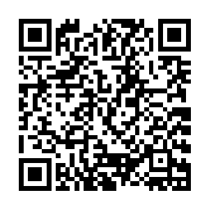 当然如果有机会斩杀混沌兽或者域外天魔也不要放过二维码生成