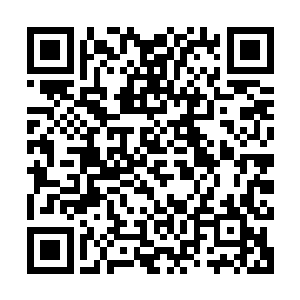 当然带头的原帝严煦兄弟俩和阿尔就成了老师们着重表扬的对象二维码生成