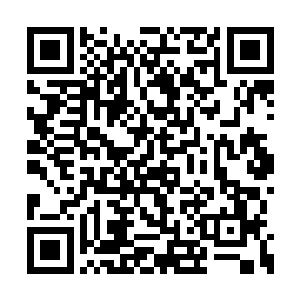 当然是从公主和王子第一场单独的对手戏开始了二维码生成