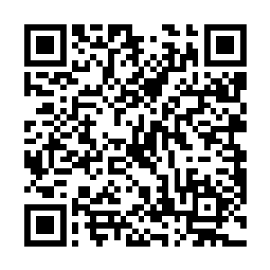 当然是第一时间反馈到了黑客帝国的票房上去上映首周二维码生成