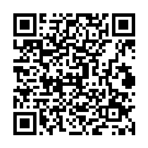 当然是赛提尔和霍利恩他们给与的压力稍微有些大二维码生成