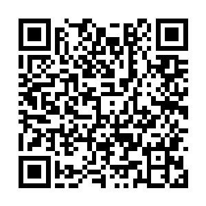 当然更是因为她无论如何也不愿意接受这样的命运二维码生成