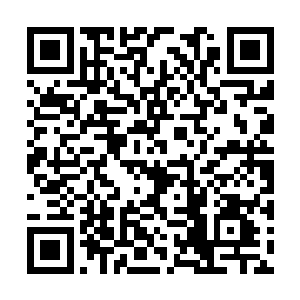 当然更让他们感到震撼的陆为民的一系列构想规划二维码生成