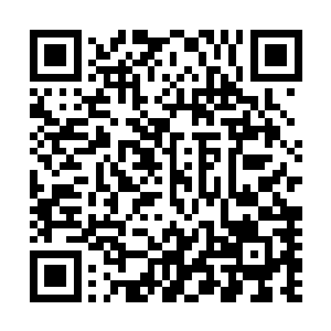 当然最冤枉的还是从头到尾受了受了无妄之灾的清尘公子了二维码生成