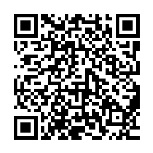 当然最引人注目的还是摆在车间最中央的两台高大的机甲样品二维码生成