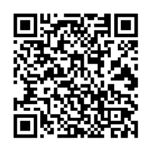 当然期待着这一场史无前例的学生与老师之间的对决二维码生成