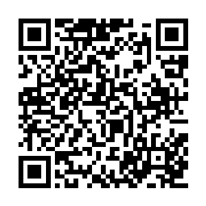 当然此时的他们已经不敢强行从许紫烟那里夺取二维码生成