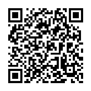 当然每次丹道大赛寒丹和药丹云不可能亲自下场二维码生成