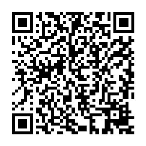 当然灭杀崔阎老魔的夏千夫长这些日子也成了前溪县炙手可热的人物二维码生成