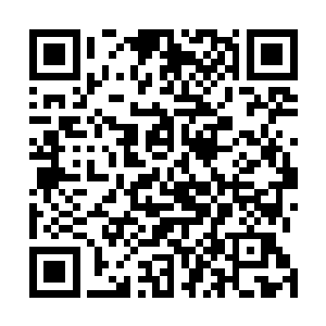 当然现在就放置他们出去疯跑也是有那么一些不太合适的二维码生成