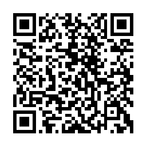 当然现在跟在她身边的已经不是小花小草而是一脸幸福的沈寒二维码生成