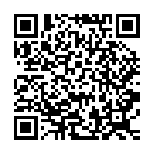 当然等她找到鼎钺这支队伍时才知道鼎钺也被人面鲲鹏袭击了二维码生成