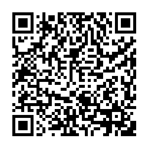 当然能够捞到一些元素本源那是更好的了……如今抢劫比自己搜寻来得快二维码生成
