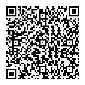 当然跟那合欢教四大护法金刚用的金刚降魔杵还有少教主用的玄山真水扇比起来还是差了许多二维码生成