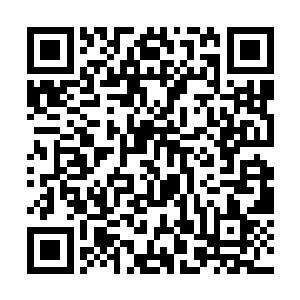 当然还是京都雪夜里苏离与天海圣后之间的那场战斗二维码生成