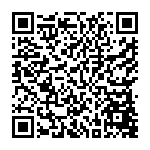 当然这一切都是在莫昕卿把莫冠杰才是开山王儿子的消息传回师门以后才发生的二维码生成