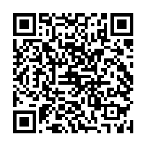 当然这个世界估计也就他一个人脑子里会产生这种念头二维码生成