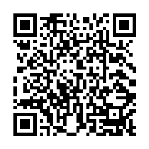 当然这个也是为什么农场现在能够稳步向前走的原因所在二维码生成