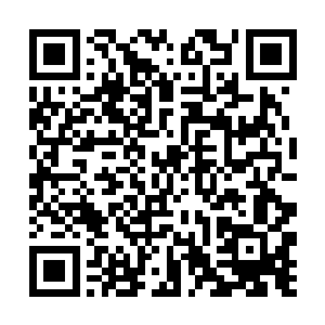 当然这些东西都是拥有相当好的品质和一定的稀有度二维码生成