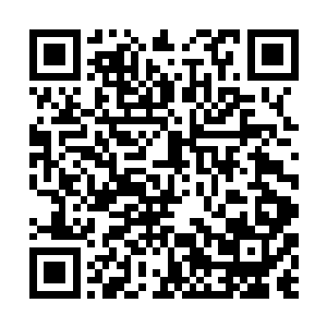 当然迪达人口中的神迹在人类口中却并不一定是奇迹二维码生成