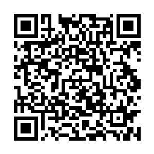 当然那个说自己胸口被打了一枪的家伙没有跟着来二维码生成