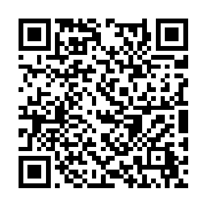 当然龙战的这个一技之长暂时只有凌菲一个人知道二维码生成