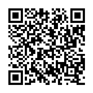 当玲珑不由微微有些欣喜的看着天道给自己买来的食物二维码生成