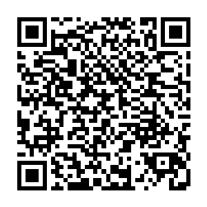 当看到一个原本家庭祥和安宁的老人被折磨得需要拷问自己对与错的时候二维码生成