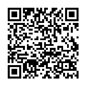 当看到模特穿着一身囚犯服饰跟在宫廷裙摆之后出来时二维码生成