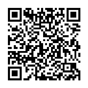 当看到石门被藤条缠绑起来的男人是面无人色的韩奕时二维码生成