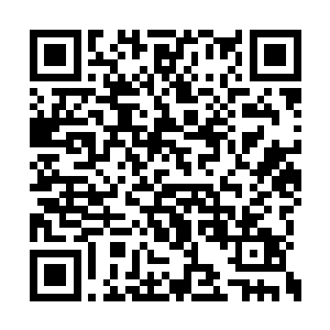 当看到自己队伍中的副官与敌人选择同归于尽时二维码生成