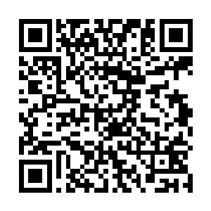 当看到这些内容以一个恐怖的速度在网络上蔓延的时候二维码生成